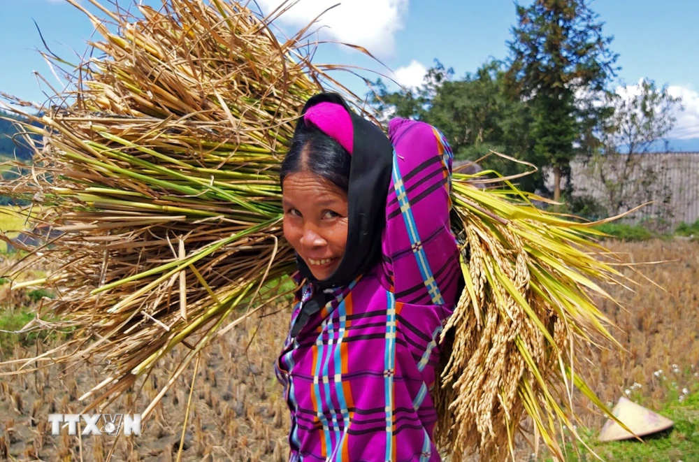 Explore Ha Giang through the Hoang Su Phi terraced rice heritage region ...