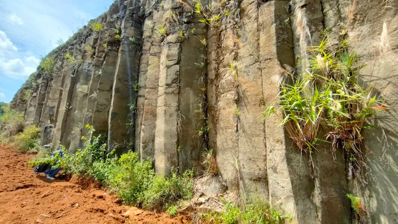 Phát hiện 