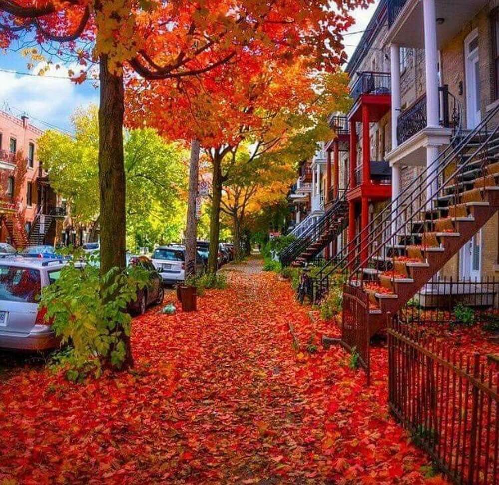 Quebec - nước Pháp trong lòng Canada