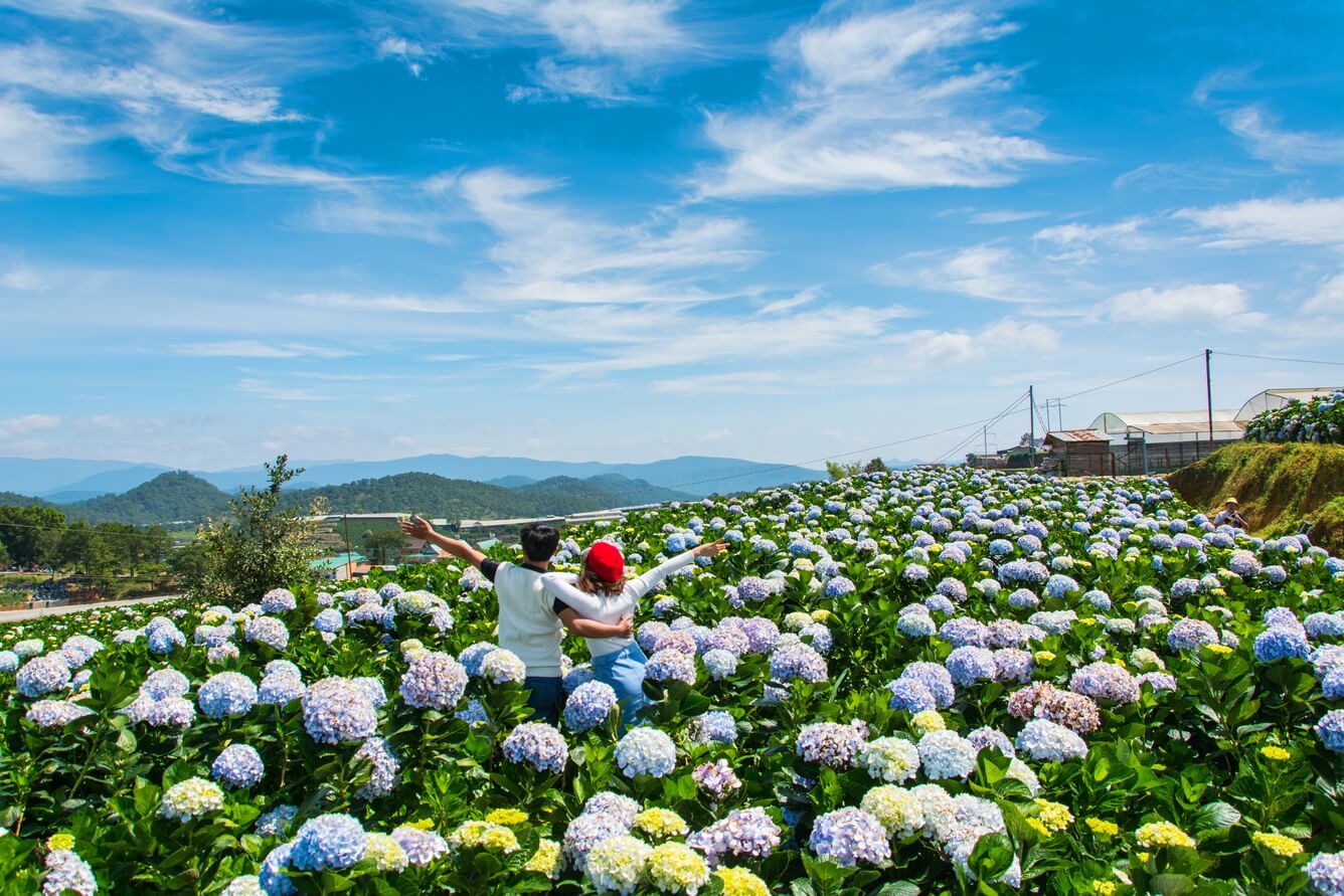 6. Đà Lạt