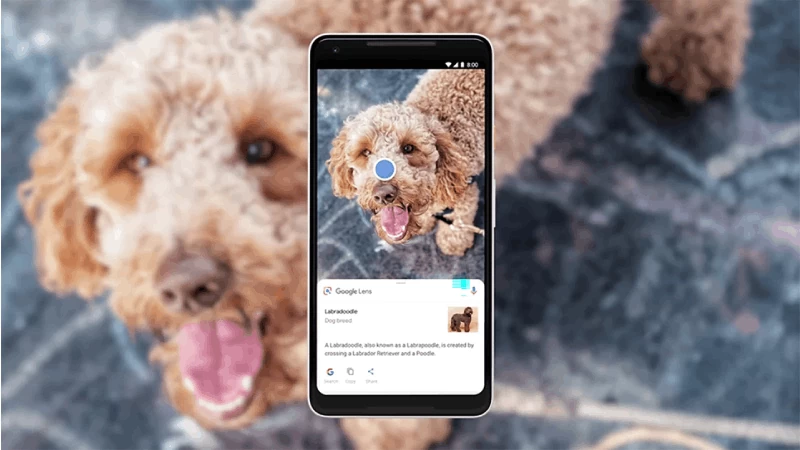 Tra cứu thông tin dễ dàng với Google Lens trên điện thoại và máy tính