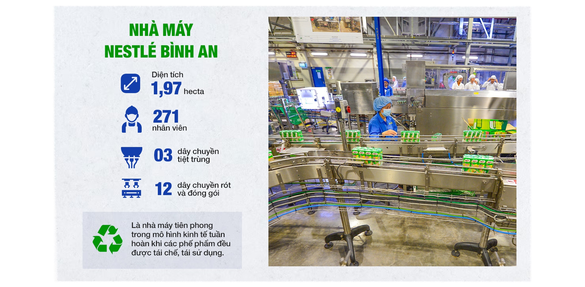 Tour Khám phá Nhà máy Xanh đến Nestlé Bình An - Ảnh 3.