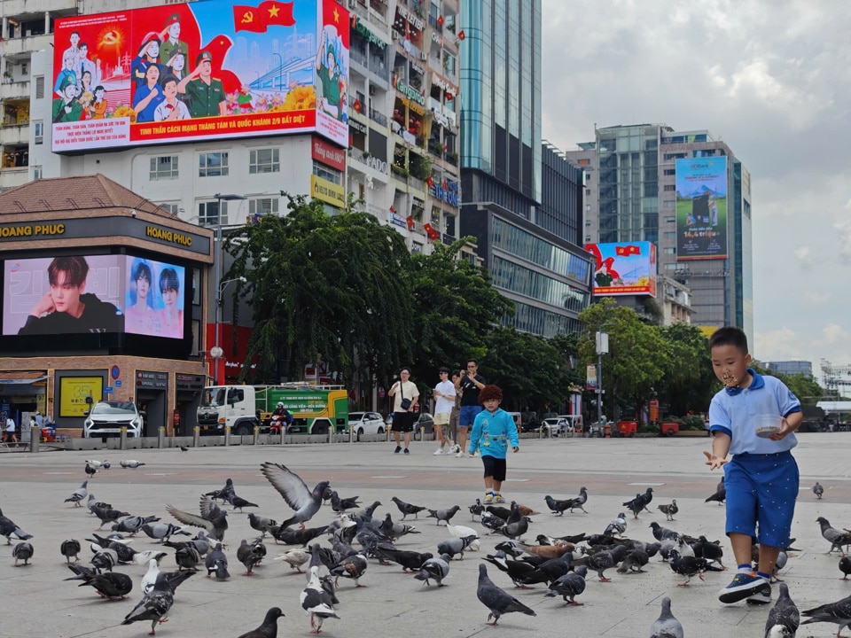 TP Hồ Chí Minh rực rỡ cờ hoa chào mừng Quốc khánh 2/9 - Ảnh 3