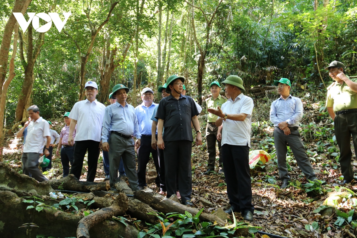 binh Dinh phat trien nhieu loai hinh du lich tren vung cao nguyen la vuong hinh anh 2