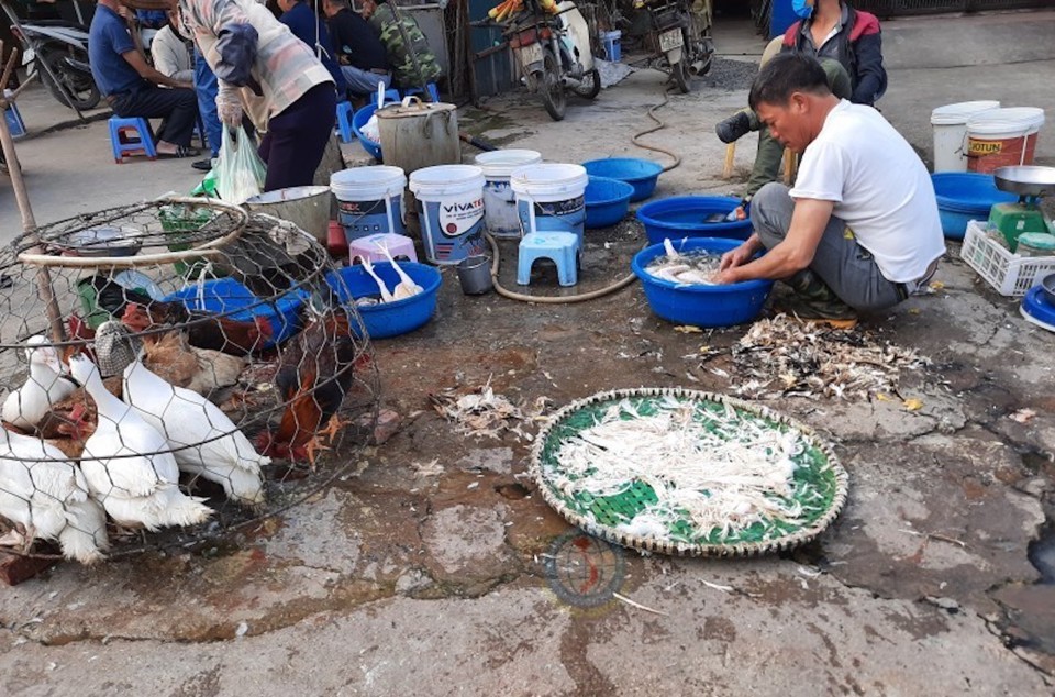 Bộ NN&PTNT đề nghị Hà Nội chấn chỉnh công tác quản lý giết mổ gia cầm. Ảnh minh hoạ.