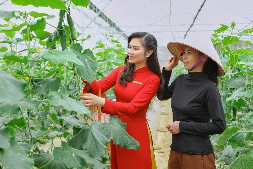 cam ket va thuc trang trien khai esg tai agribank hinh 1