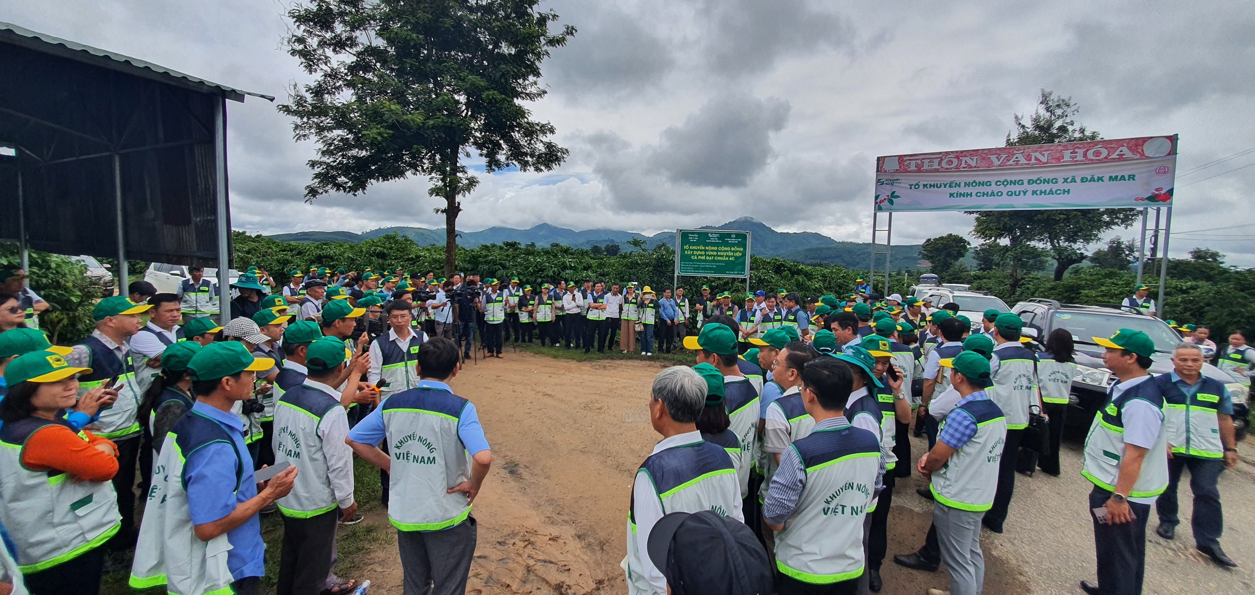 Có tổ khuyến nông cộng đồng tư vấn, 600ha cà phê của một HTX ở Kon Tum được doanh nghiệp bao tiêu hết- Ảnh 1.