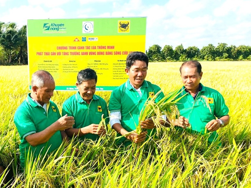 Phân bón Bình Điền tham gia mô hình “Canh tác lúa thông minh, phát thải thấp gắn với tăng trưởng xanh vùng ĐBSCL”.