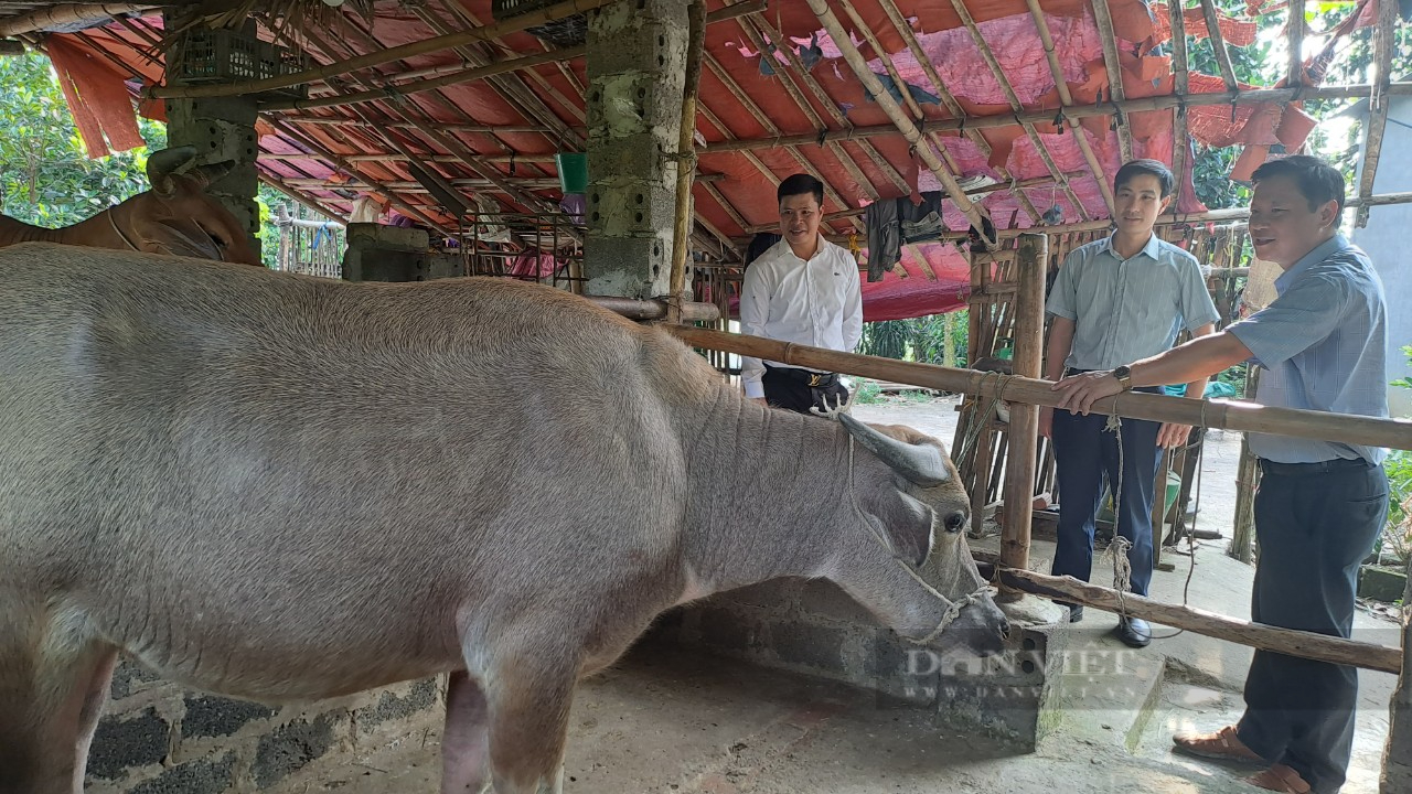 Đa dạng nhiều dự án giảm nghèo ở Phú Lương, tạo sinh kế giúp bà con thoát nghèo- Ảnh 1.