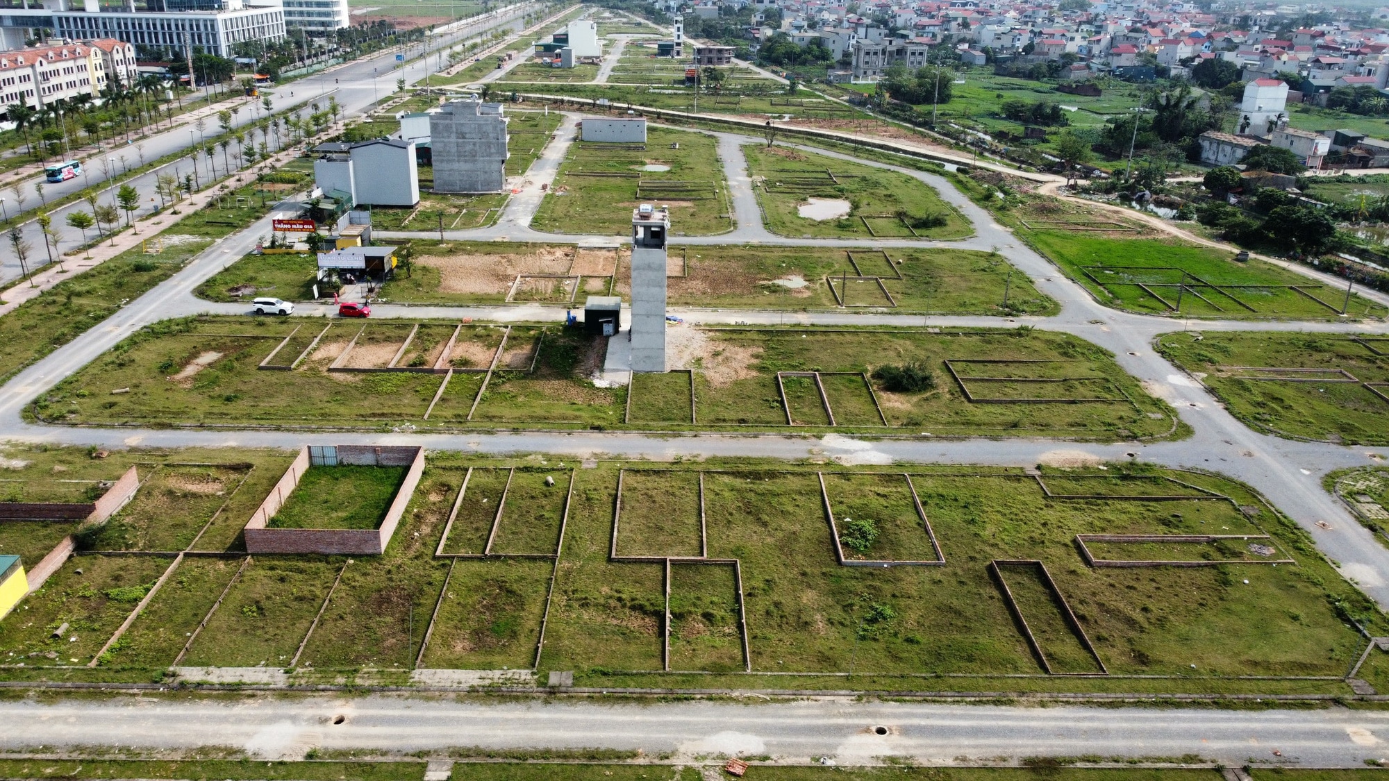 Tại Hà Nội có hàng ngàn lô đất nền đấu giá xong nhiều năm đang để cỏ mọc - Ảnh: B.NGỌC