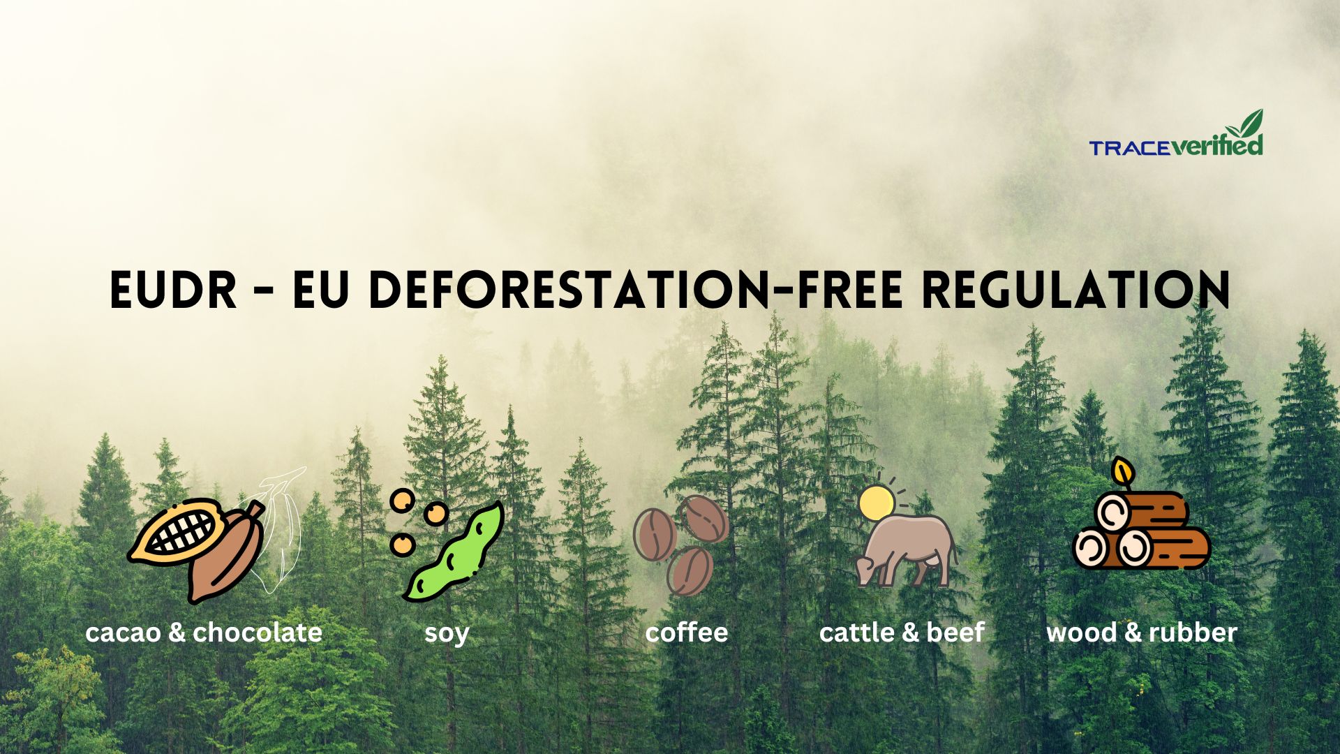 Instructions for implementing the EU Anti-Deforestation Regulations ...