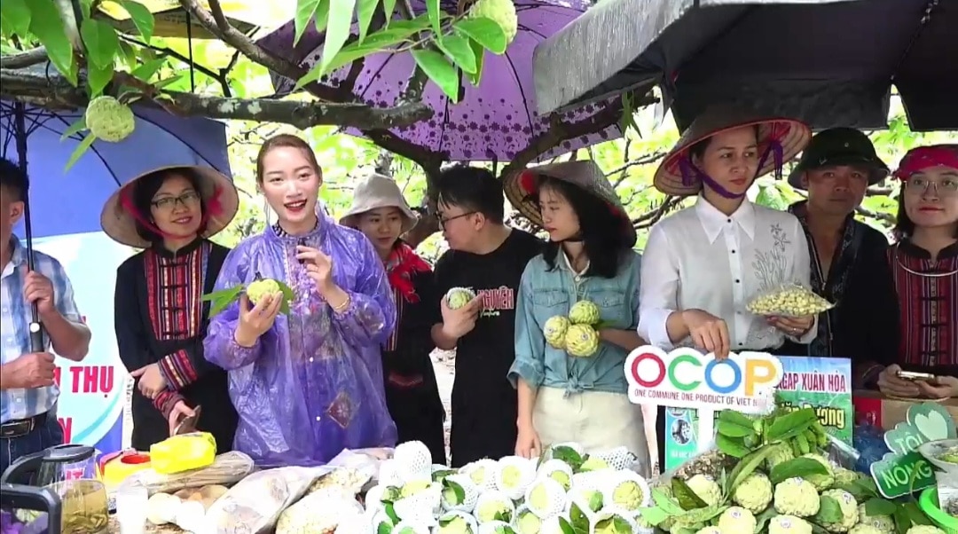 Thái Nguyên: Livestream hỗ trợ bà con Võ Nhai bán gần 4,7 tấn na- Ảnh 1.