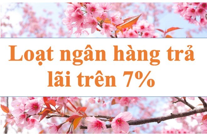 Lãi suất ngân hàng hôm nay 11.8: Loạt ngân hàng trên mốc 7%