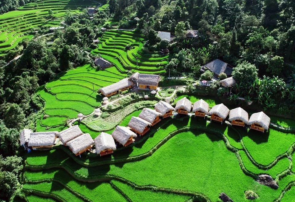 Hà Giang: Đến ngay Hoàng Su Phì chiêm ngưỡng ‘bức tranh’ ruộng bậc thang mùa lúa xanh