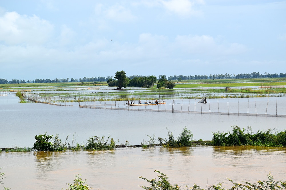 Mùa nước nổi An Giang, dưới sông 