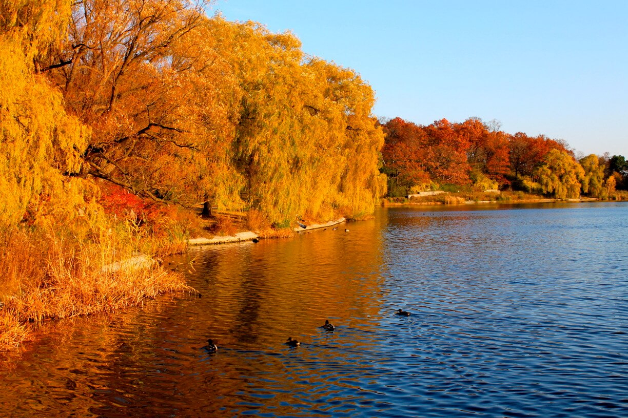 Toronto – thành phố của các công viên