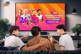 Modelo de política K+MyTV.png
