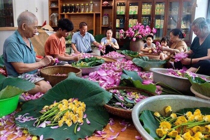 nghe uop tra sen quang an la di san phi vat the quoc gia hinh 1