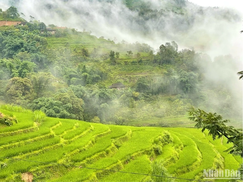 Người Lô Lô (Cao Bằng) học cách làm du lịch cộng đồng ảnh 1