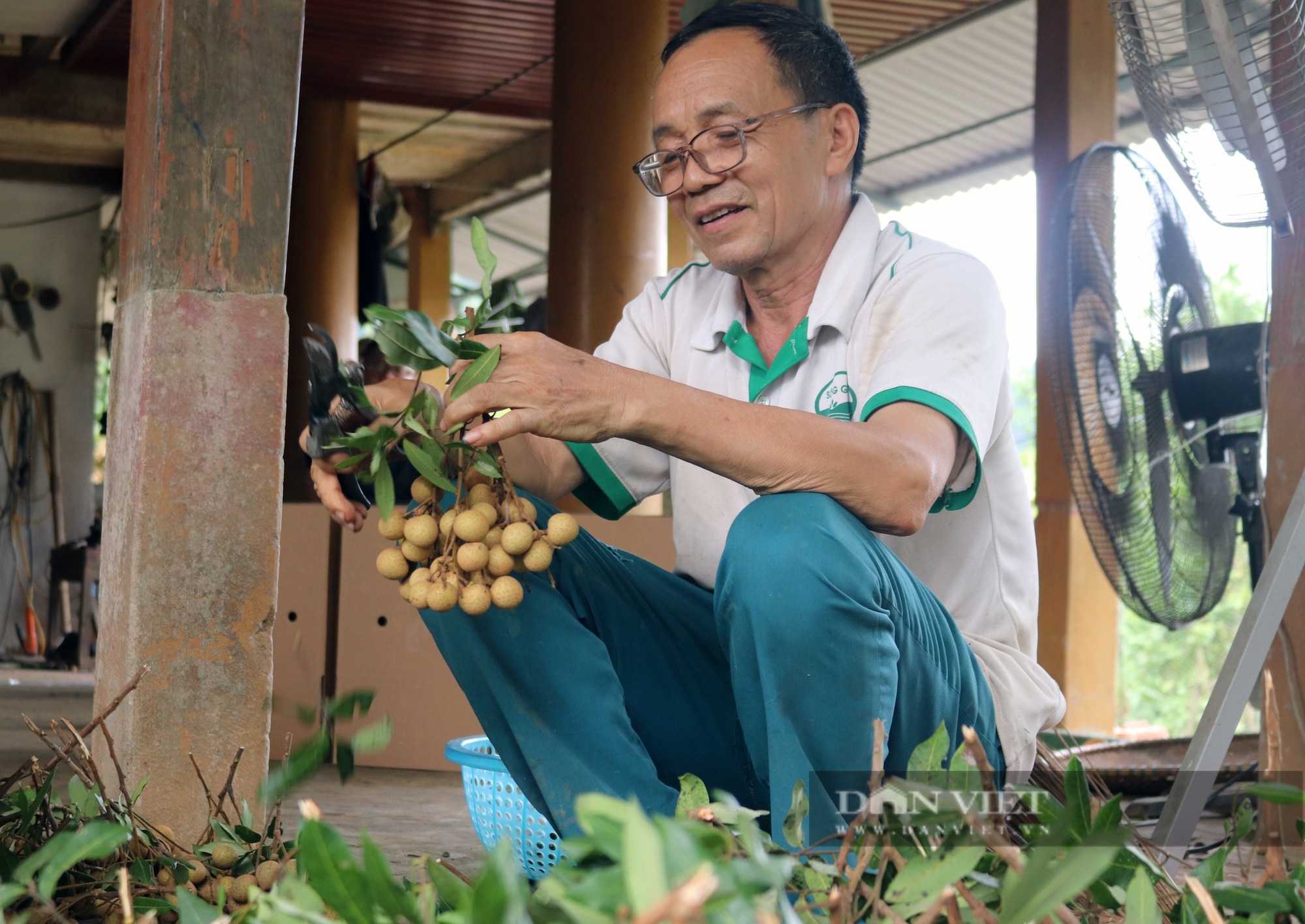 Người gây dựng thương hiệu nhãn Xuân Thủy ở Hòa Bình- Ảnh 1.