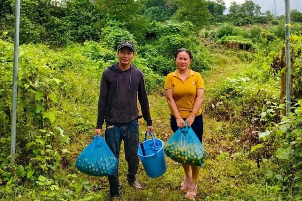 Người phụ nữ nhiều lần vượt bạo bệnh nhờ tinh thần khởi nghiệp - 2