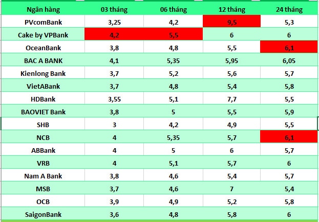 Top ngân hàng có lãi suất cao trên thị trường. Số liệu ghi nhận ngày 11.8.2024. Đồ họa: Hà Vy