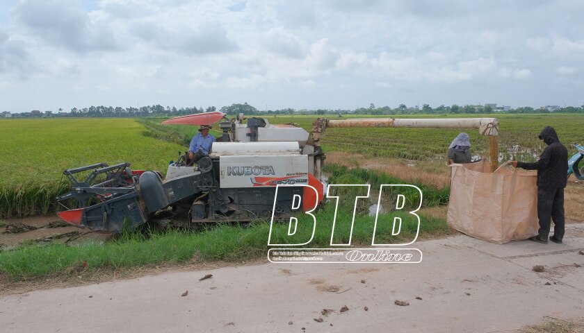 Tây Ninh: “Dân vận khéo” trong tích tụ ruộng đất - Ảnh 1.