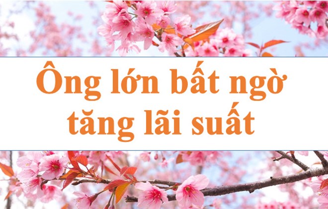 Lãi suất ngân hàng hôm nay 8.8: Ông lớn bất ngờ tăng lãi