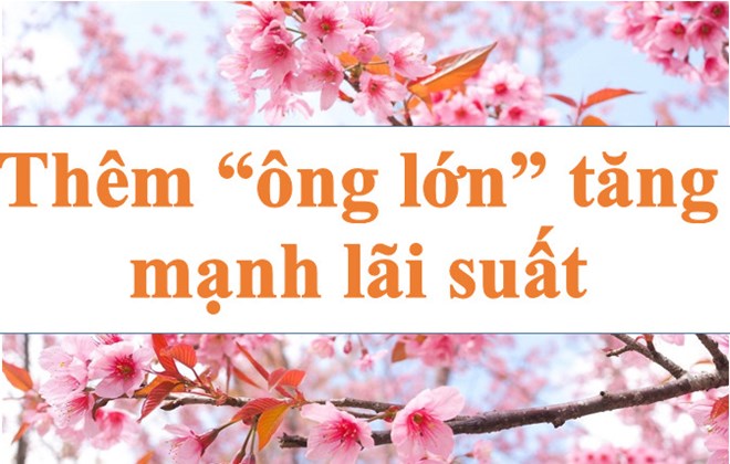 Lãi suất ngân hàng hôm nay 3.8: "Ông lớn” tăng mạnh lãi suất