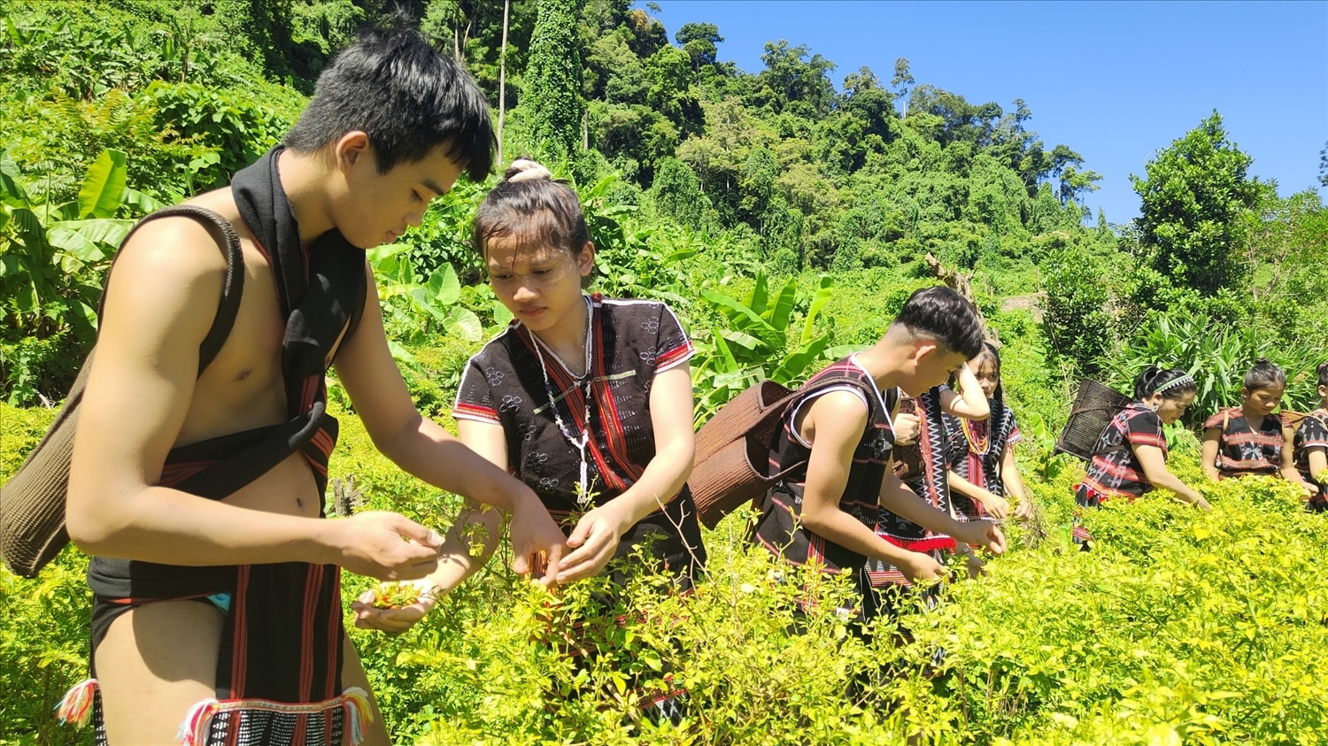 Lễ hội ớt A Riêu lần đầu tiên được tổ chức tại Đông Giang (Quảng Nam) từ 15-16/8.