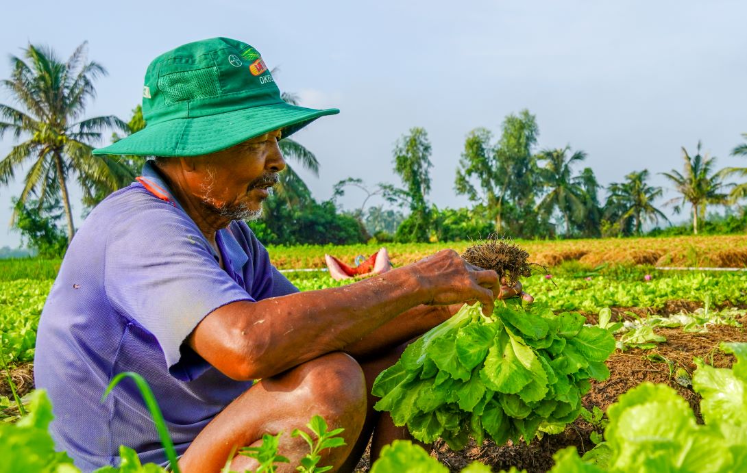 Bà con dân tộc Khmer tỉnh Sóc Trăng được hỗ trợ vay vốn sản xuất từng bước vươn lên thoát nghèo. Ảnh: Phương Anh