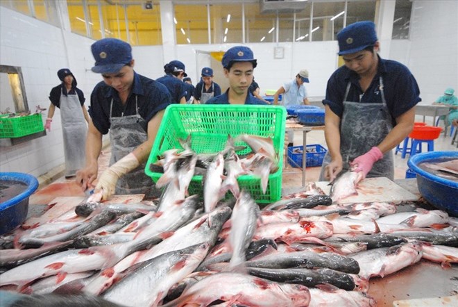 Tạo niềm tin, cung ứng nông sản chất lượng cho xuất khẩu