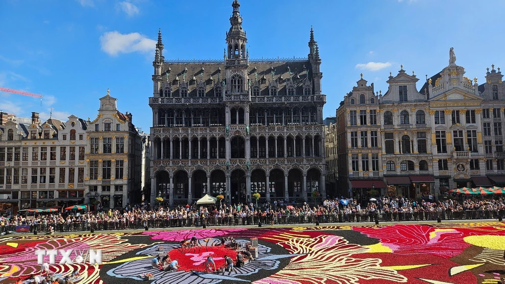 Brussels flower carpet 2024 - a splendid artistic masterpiece in the ...