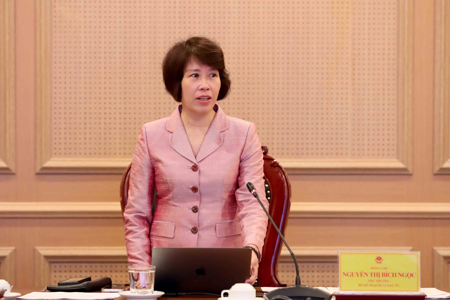 Deputy Minister Nguyen Thi Bich Ngoc chaired the working group meeting ...