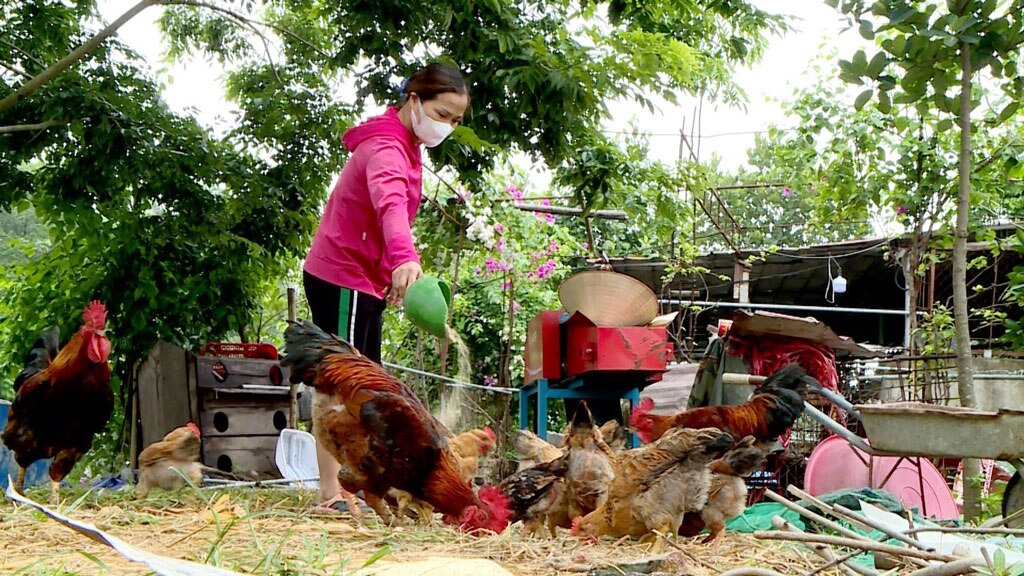 cac chuong trinh tin dung cua ngan hang chinh sach xa hoi bac ninh dap ung sau rong den tung doi tuong ho ngheo hinh 1