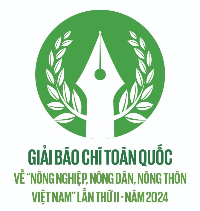 Ông Vàng A Vạng ở Sơn La, trồng mận trái vụ mà thành tỷ phú đầu tiên của bản - Ảnh 1.