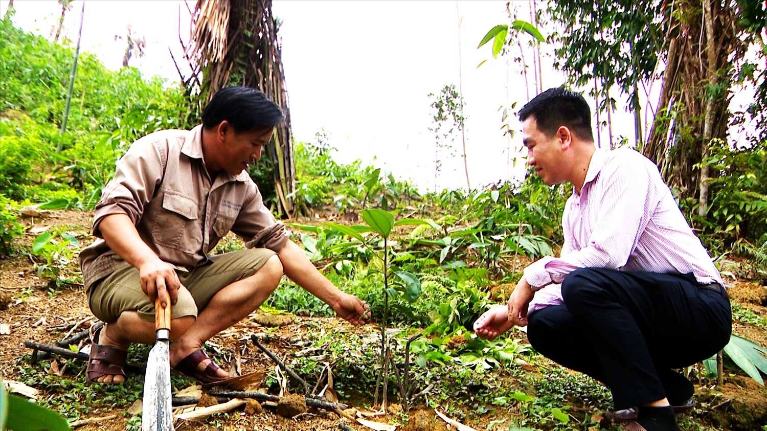 Nhờ nguồn vốn từ NHCSXH, gia đình ông Chẩu Văn Dự ở thôn Bó Ngoạng, xã Phúc Sơn, huyện Lâm Bình (Tuyên Quang) có điều kiện vươn lên thoát nghèo, ổn định cuộc sống