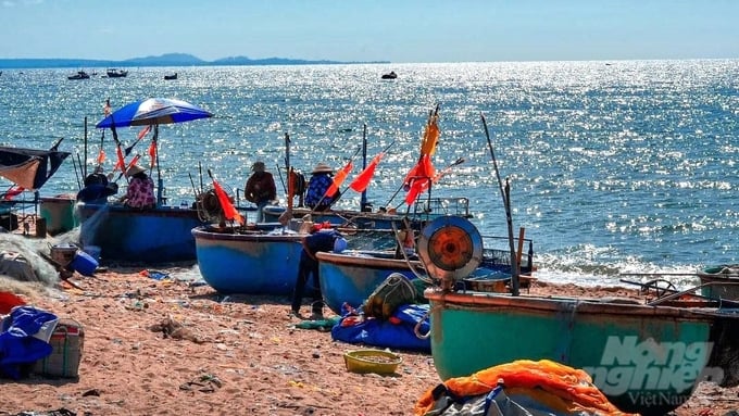 Làng chài Phước Hải vẫn giữ được nét hoang sơ, không khí yên bình và chưa được khai thác về du lịch. Ảnh: Trần Phi.