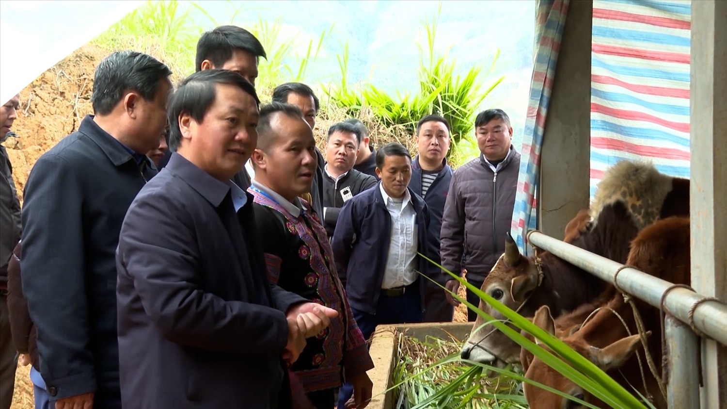 Bộ trưởng Hầu A Lềnh kiểm tra một mô hình chăn nuôi bò được lồng ghép từ các nguồn vốn của Chương trình MTQG 1719 và nguồn lực của tỉnh Yên Bái tại xã Trạm Tấu, huyện Trạm Tấu, tỉnh Yên Bái