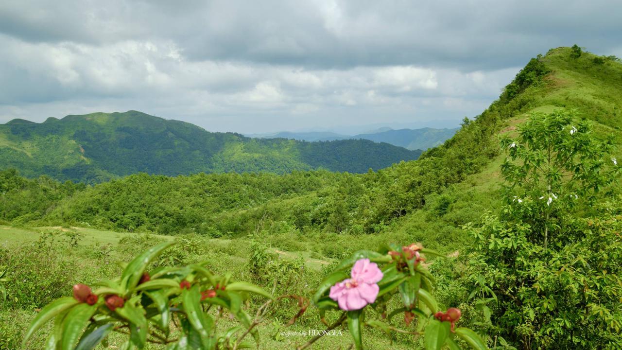 'Đà Lạt thu nhỏ' cách Hà Nội 100km, khách tới săn mây, cắm trại giữa rừng'Đà Lạt thu nhỏ' cách Hà Nội 100km, khách tới săn mây, cắm trại giữa rừng