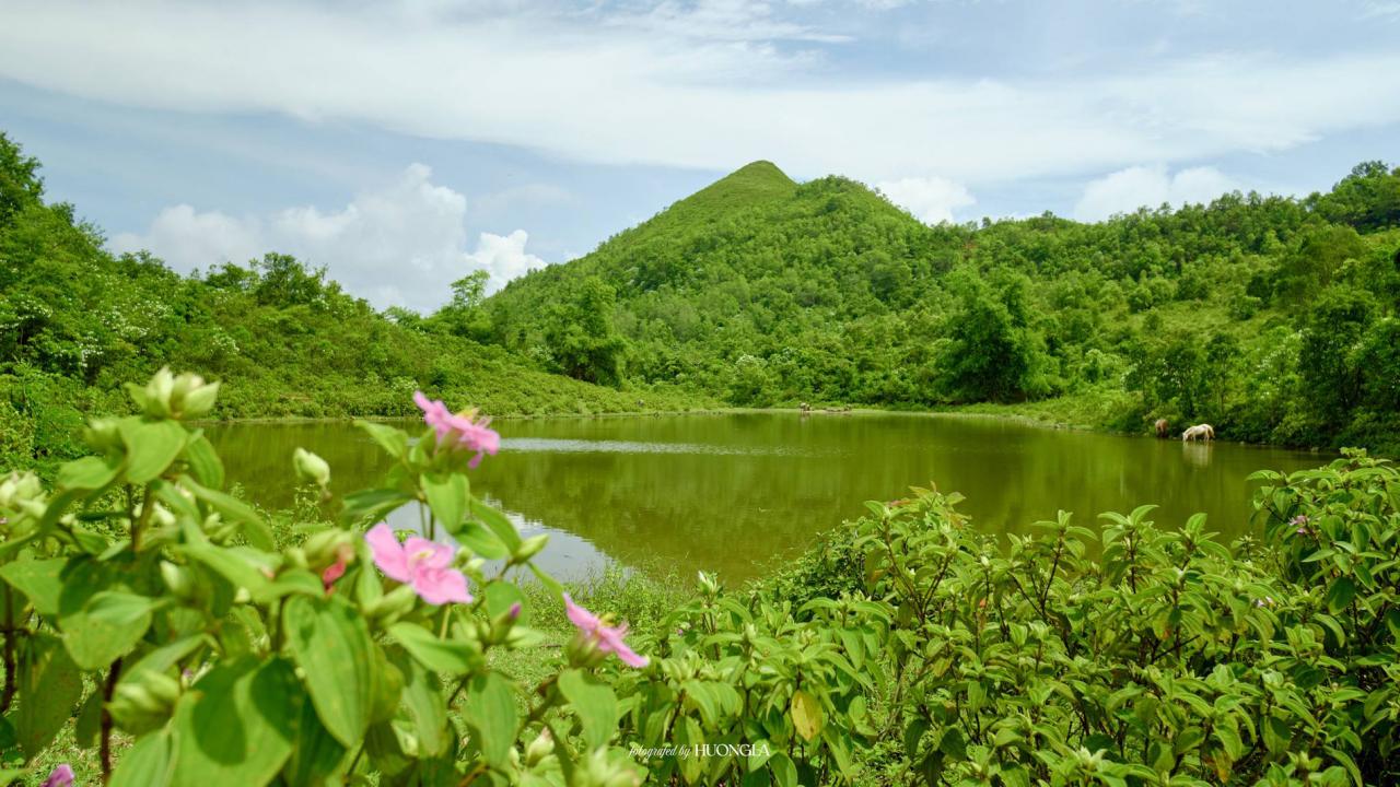 'Đà Lạt thu nhỏ' cách Hà Nội 100km, khách tới săn mây, cắm trại giữa rừng'Đà Lạt thu nhỏ' cách Hà Nội 100km, khách tới săn mây, cắm trại giữa rừng