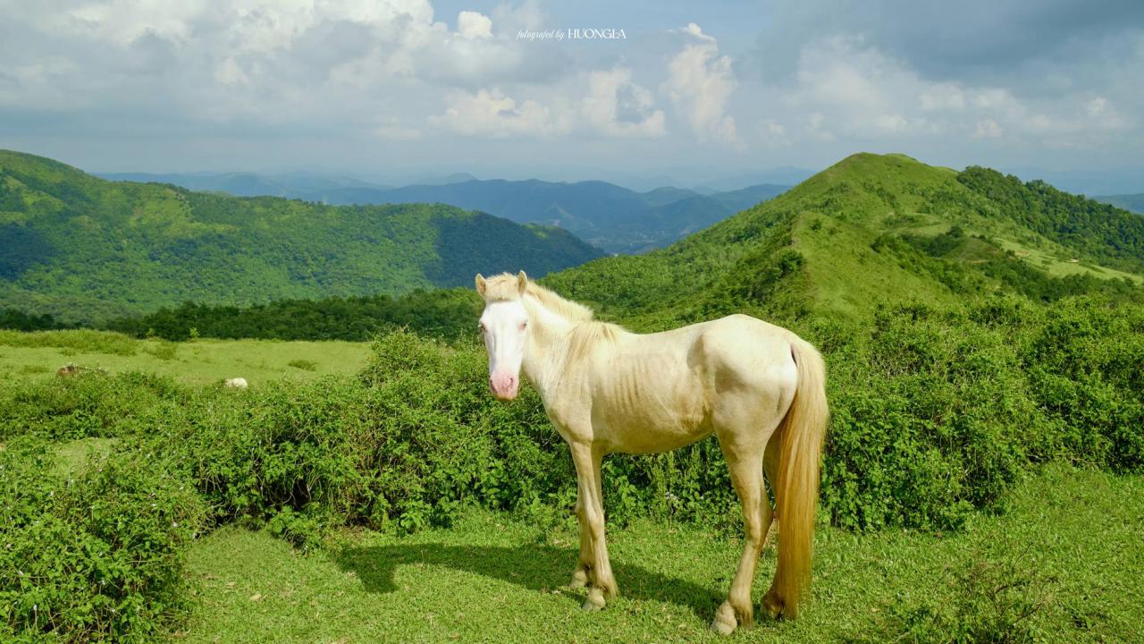 'Đà Lạt thu nhỏ' cách Hà Nội 100km, khách tới săn mây, cắm trại giữa rừng'Đà Lạt thu nhỏ' cách Hà Nội 100km, khách tới săn mây, cắm trại giữa rừng