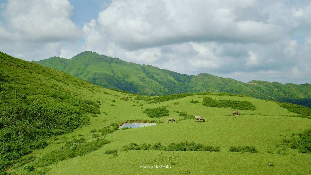 'Đà Lạt thu nhỏ' cách Hà Nội 100km, khách tới săn mây, cắm trại giữa rừng'Đà Lạt thu nhỏ' cách Hà Nội 100km, khách tới săn mây, cắm trại giữa rừng