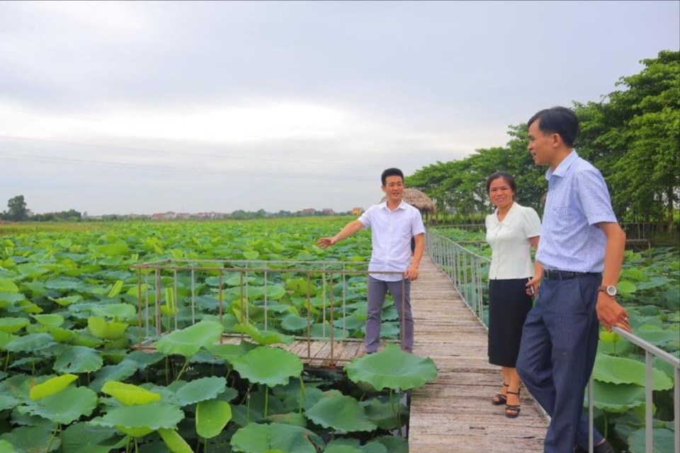 Huyện Sóc Sơn yêu cầu các xã, thị trấn hoàn thành kê khai sử dụng đất nông nghiệp trong quý III/2024.