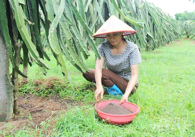 Việc sử dụng phân bón hữu cơ thay thế phân bón hóa học giúp tăng lượng dinh dưỡng, độ tơi xốp của đất. Ảnh: Trung Quân.