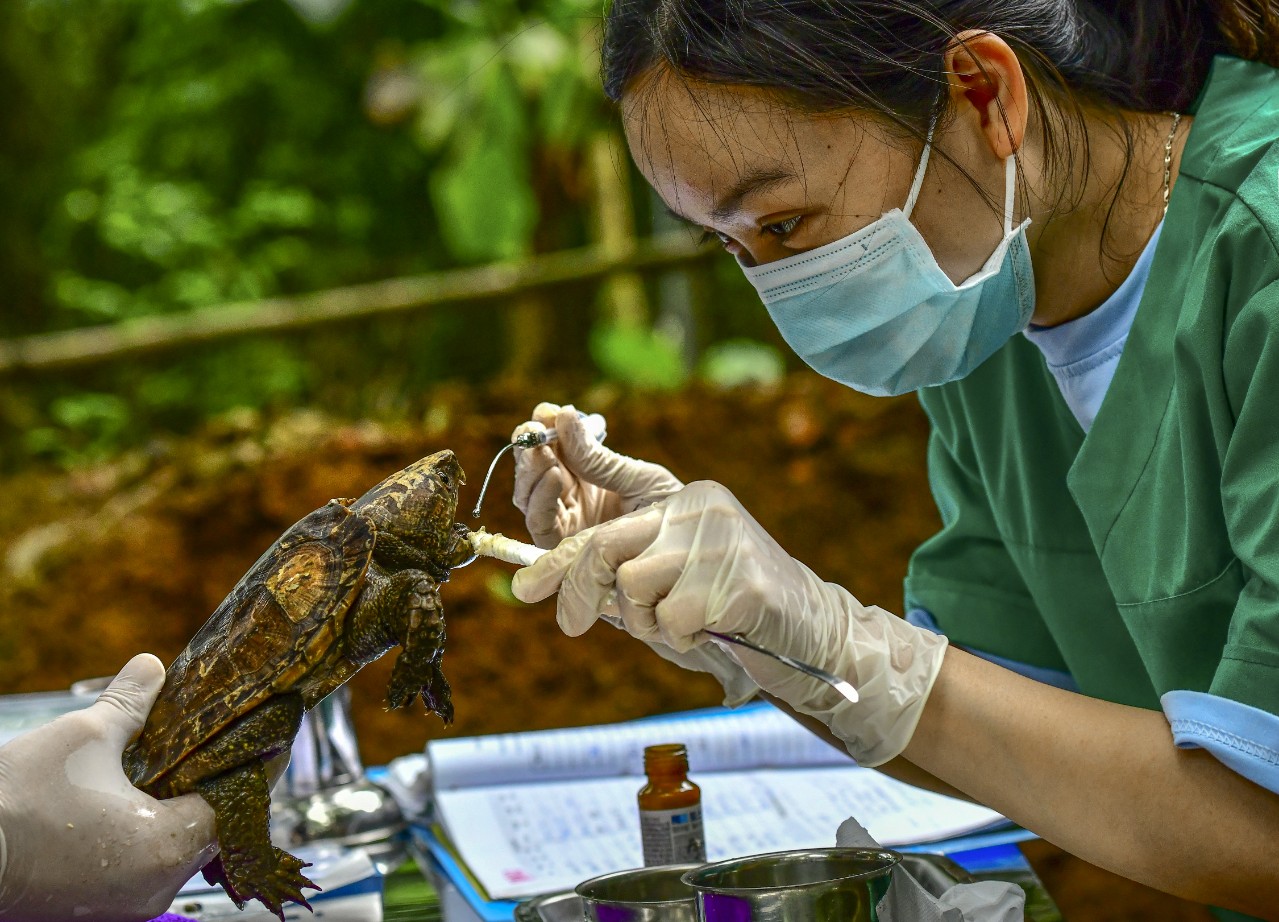 Đánh bại nhiều nước trên thế giới, Cúc Phương của Việt Nam được vinh danh vườn quốc gia hàng đầu châu Á - Ảnh 4.