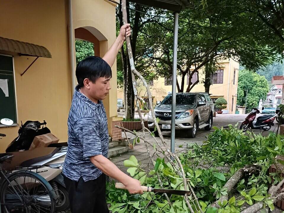 Thầy, cô giáo chặt tỉa cây cối đón năm học mới. Ảnh: Đặng Tình