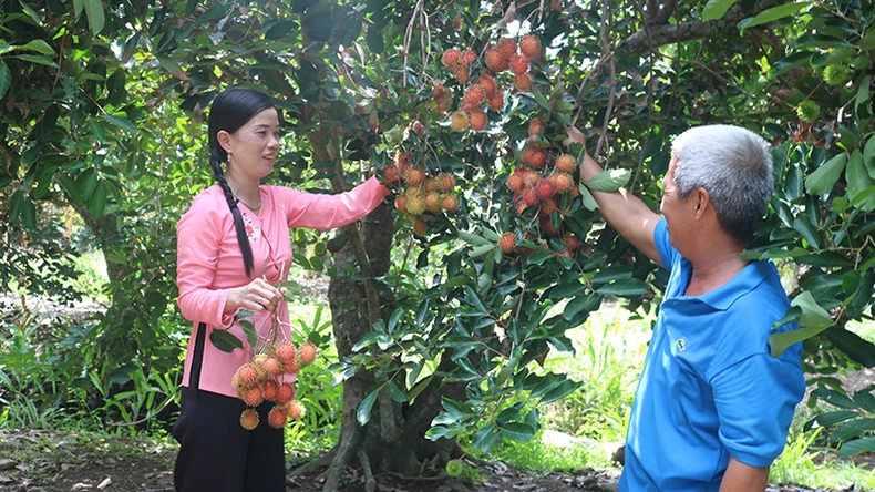 Trà Vinh phát huy giá trị di sản gắn với phát triển du lịch ảnh 3