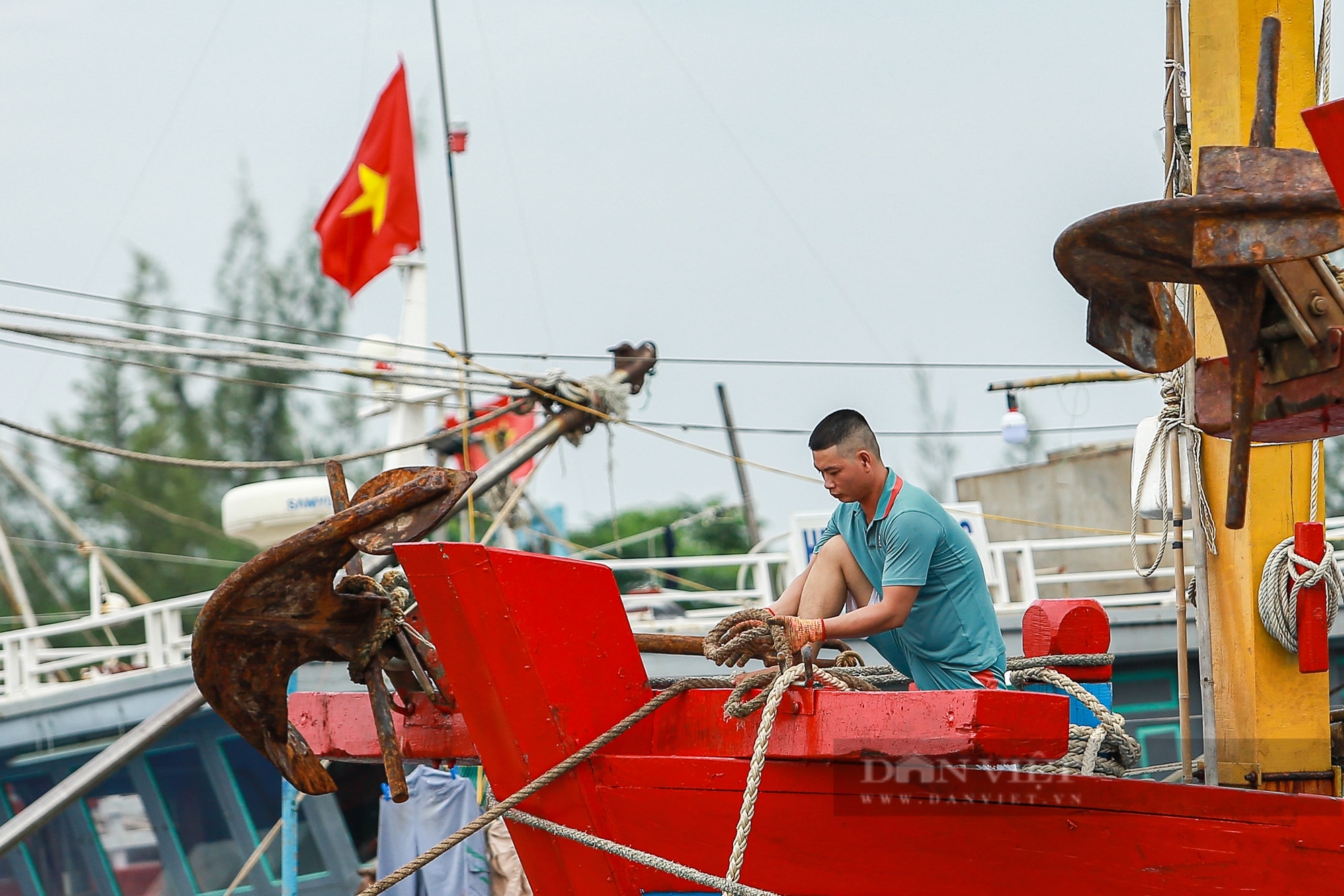 Ngư dân Nam Định đằm mình trong nước để chằng buộc tàu thuyền đối phó siêu bão Yagi- Ảnh 10.