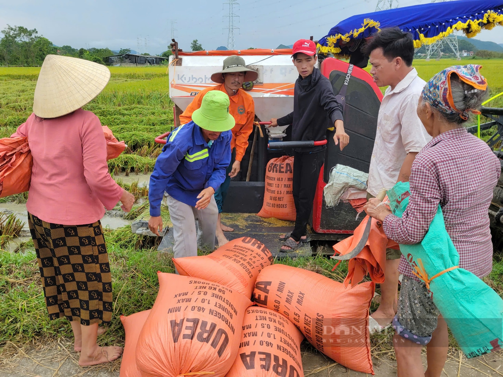 Siêu bão số 3, cơn bão Yagi trước giờ đổ bộ đất liền Thanh Hóa, dân hối hả làm việc này ngoài đồng- Ảnh 4.